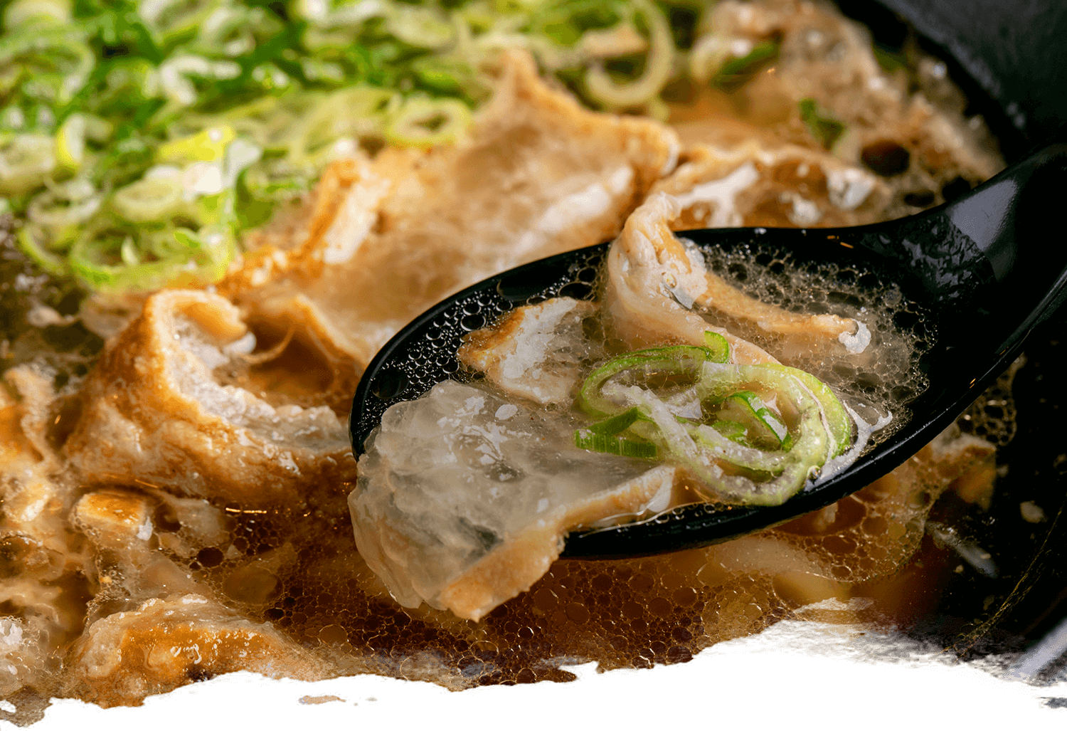 大阪名物かすうどんの秘密と人気店！梅田・難波の決定版【2026】