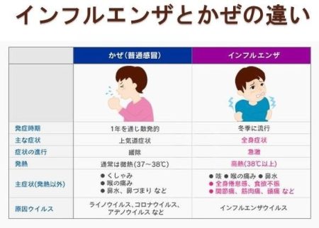 【画像あり】 インフルエンザ に ならない 人 徹底解説＆真相まとめ #752