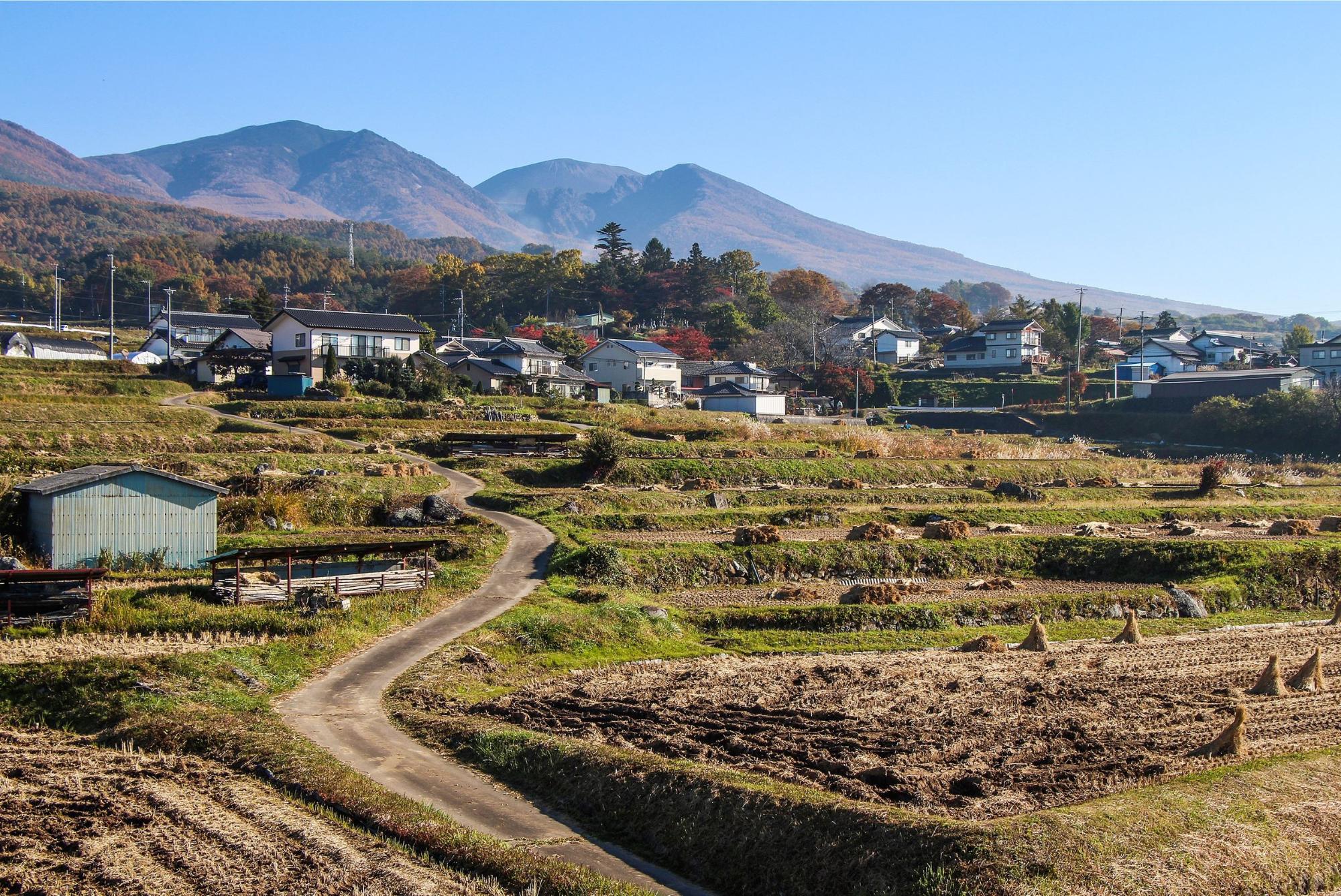 なぜ長野県小諸市が今人気？2026年最新の移住と観光の真相を徹底解説！