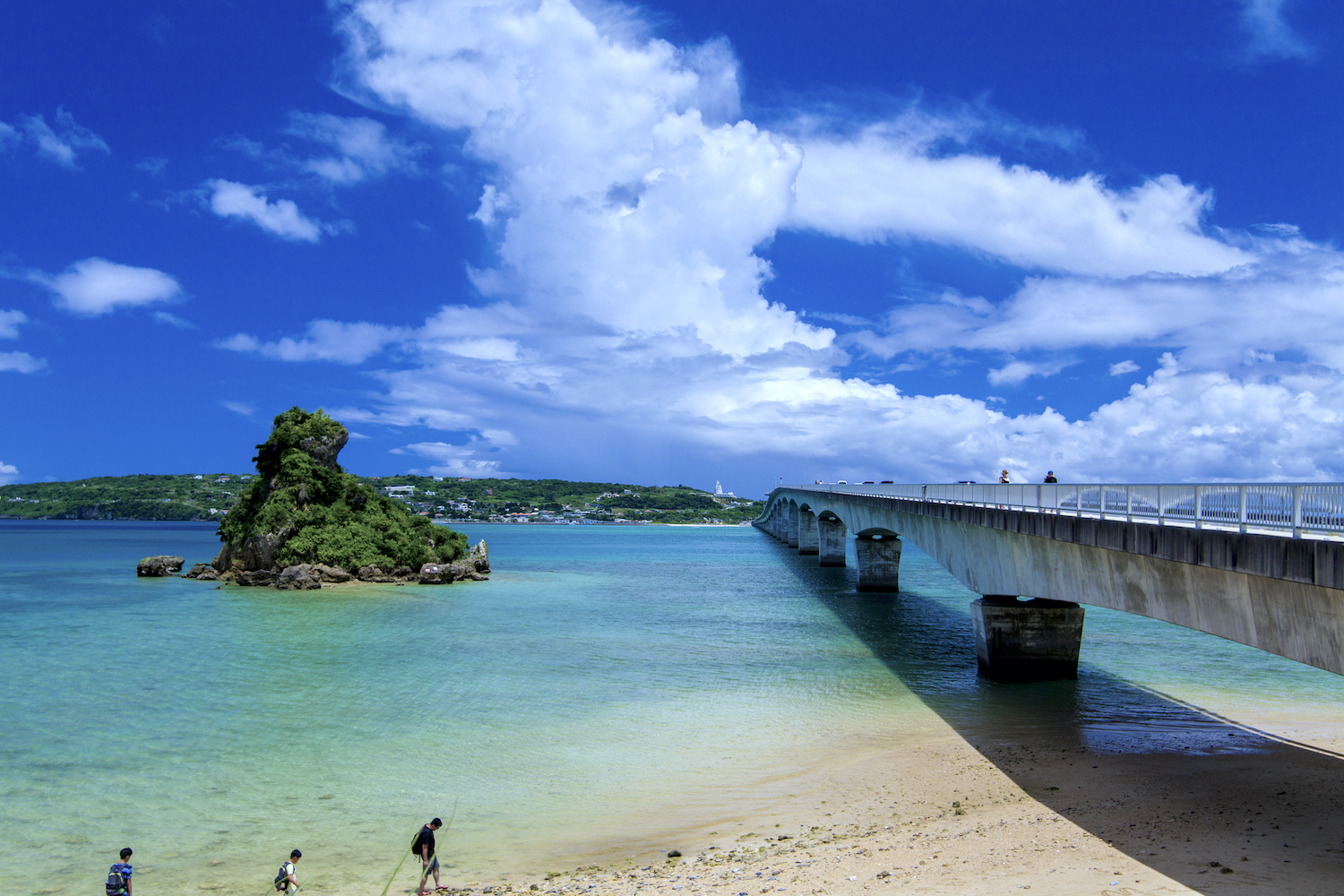 沖縄「恋の島」古宇利島の真実！2026年最新モデルコースと落とし穴