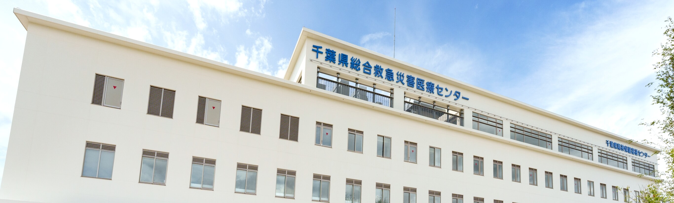 ららぽーと富士見2026最新攻略｜混雑回避と注目店舗を徹底解剖