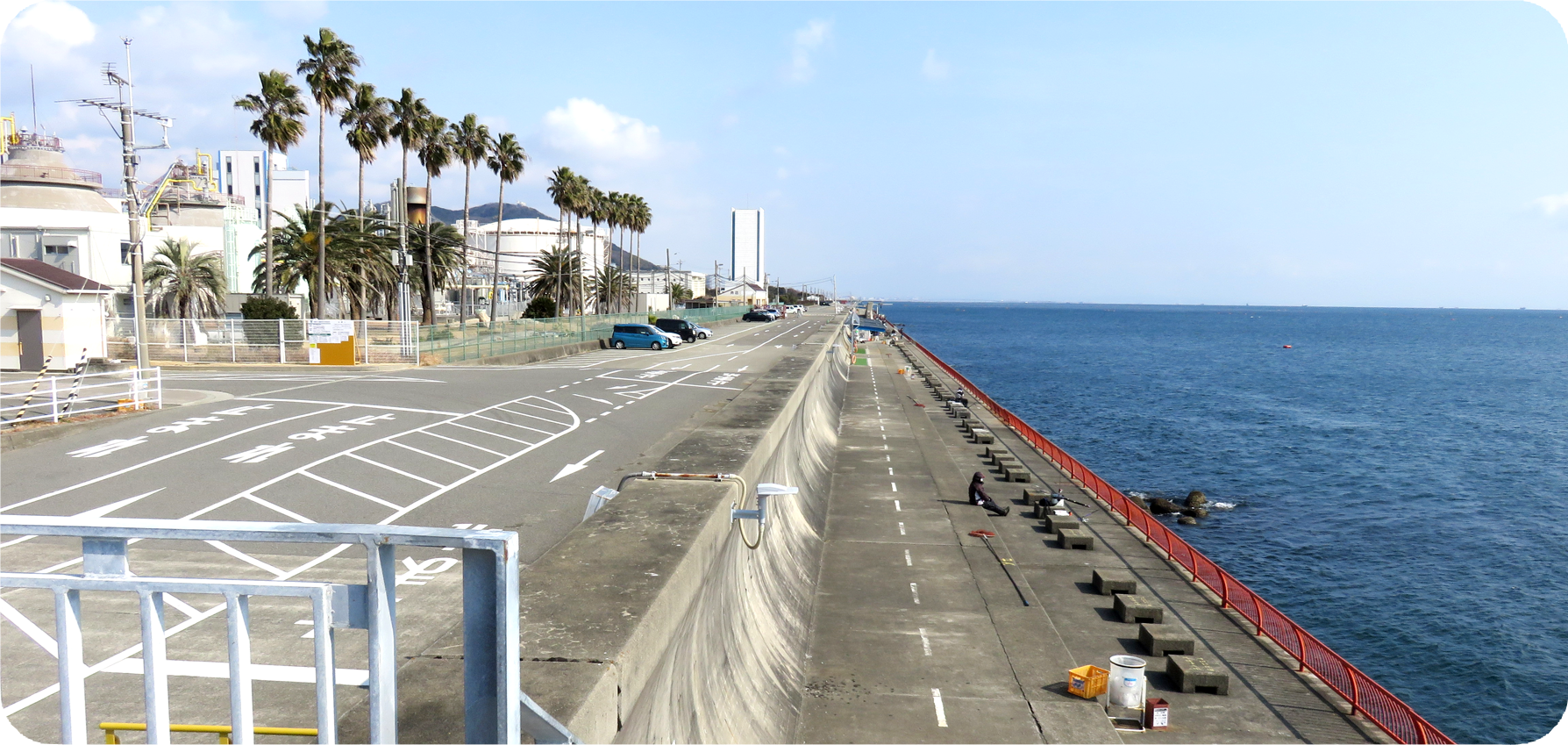 平磯海釣り公園完全攻略！リアル釣果と料金・混雑回避の全貌