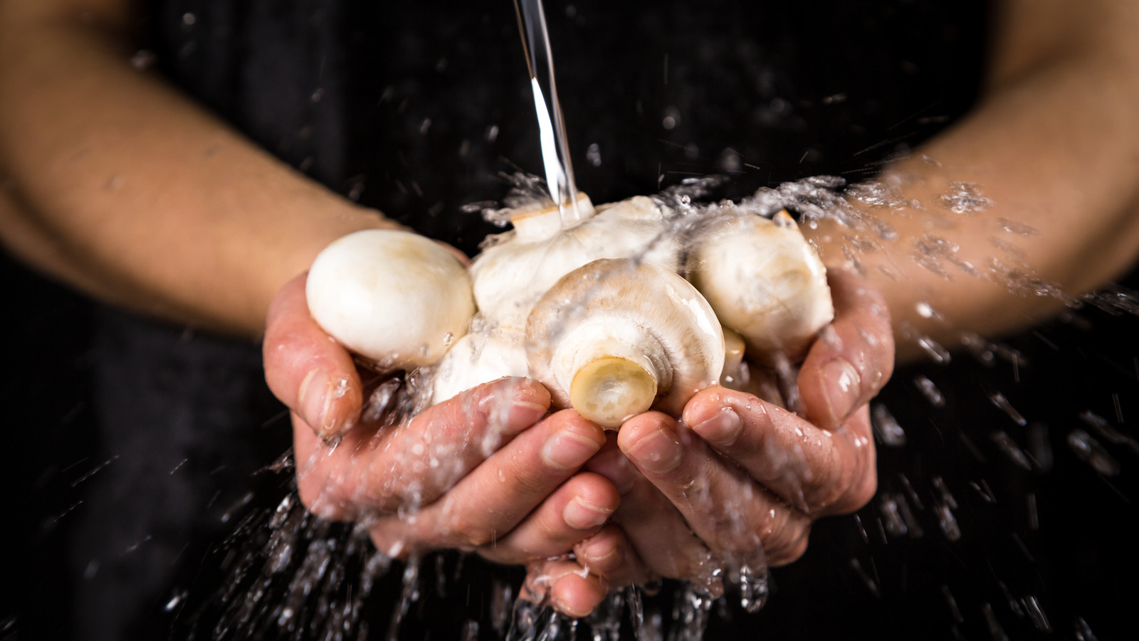 Wash Mushrooms Before Cooking