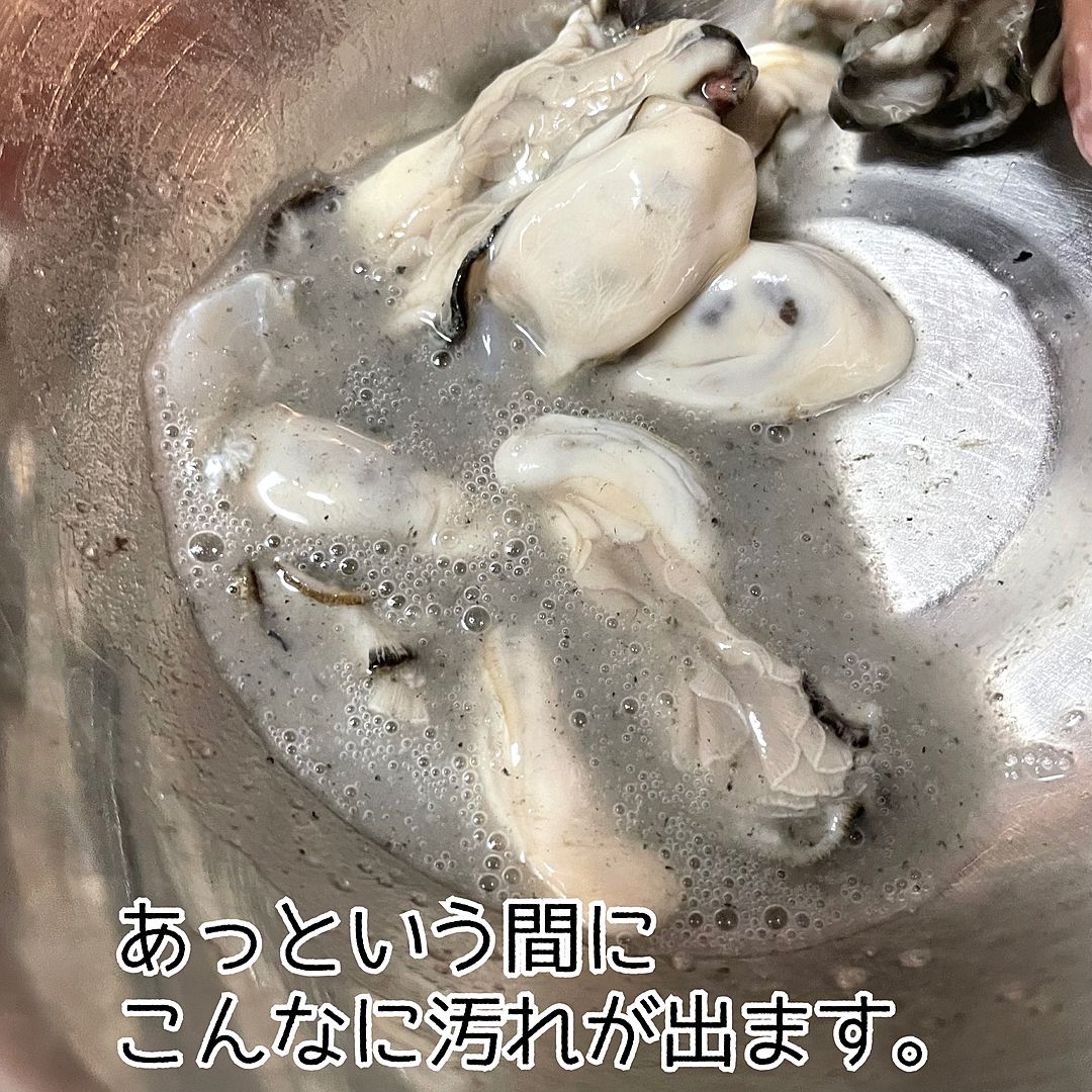 子供が爆食するもやし神レシピ10選！青臭さゼロの簡単下処理と節約術【2026】