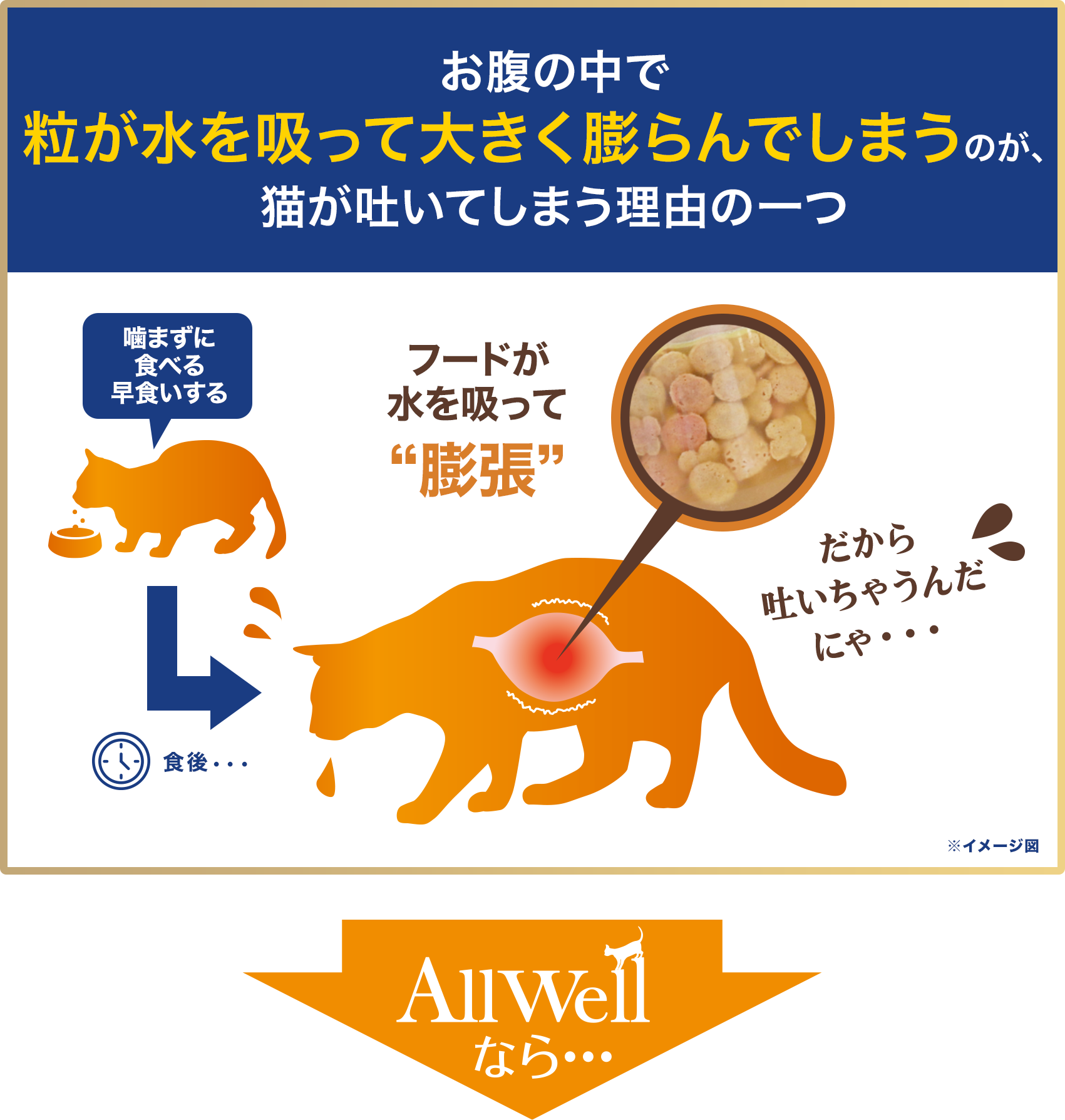 猫が餌をそのまま吐くのはなぜ？危険な病気サインと最新対処法