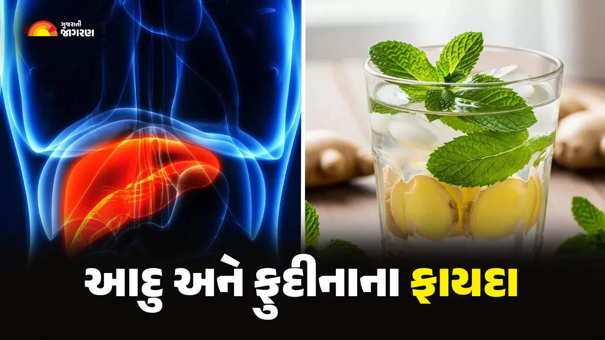 Mint Tea Warning Liver