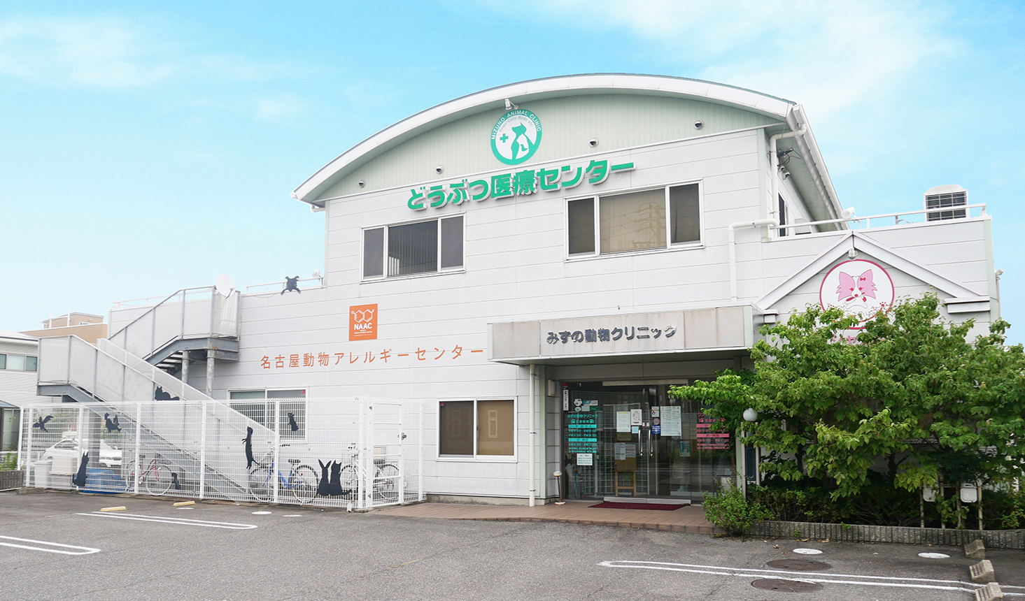 ミズノ動物クリニックの評判は？診察料金や混雑対策と口コミ徹底検証
