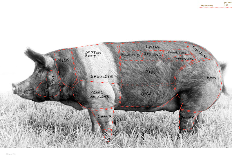 What Is Salami Made of Animal