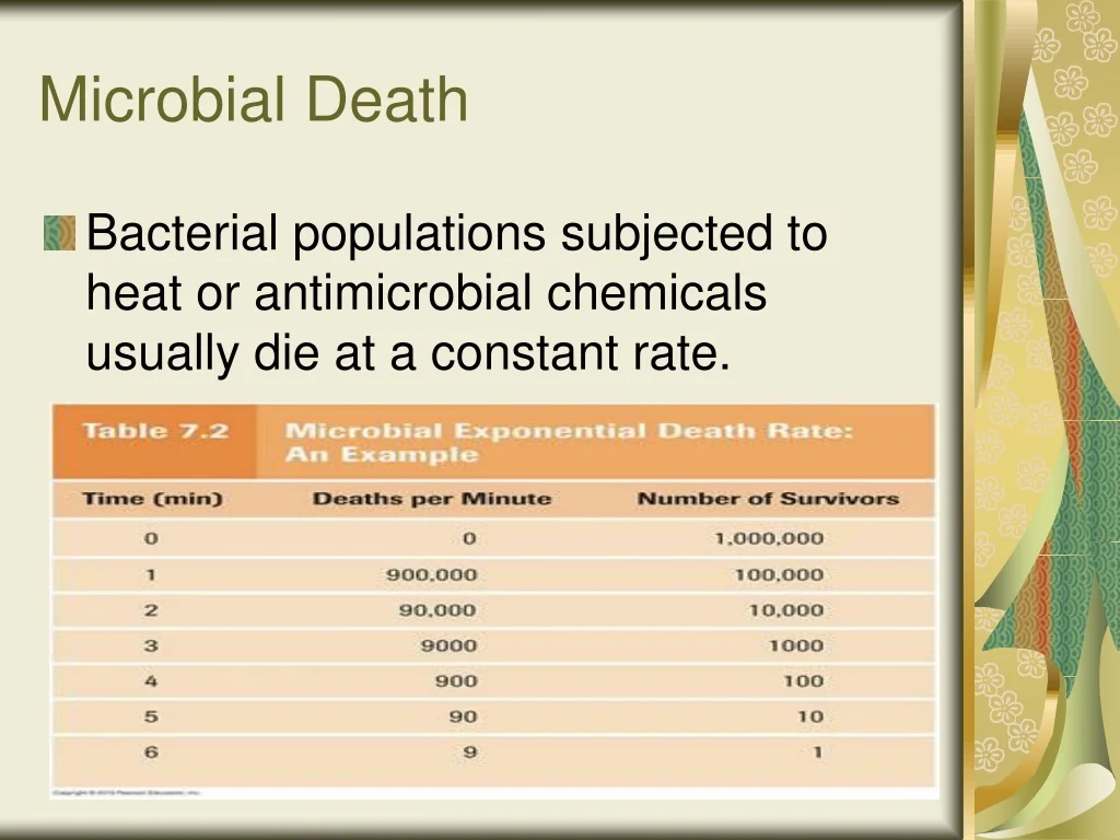 Does Bacteria Die at 212