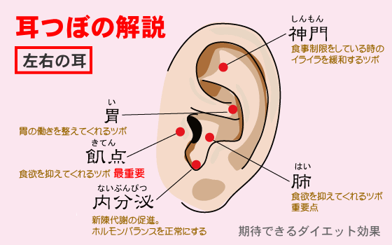 【2026年最新】耳の奥が詰まる・聞こえにくい…その不快感、今すぐ押せる「特効ツボ」で即効ケア！専門医が明かす自律神経と気圧の隠れた関係