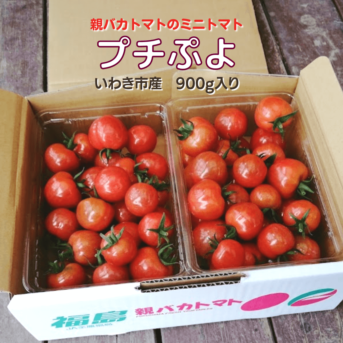 奇跡の食感「プチぷよ」人気の秘密と失敗しない育て方を徹底解説