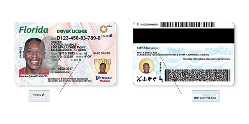 What Is F Endorsement on Driver's License