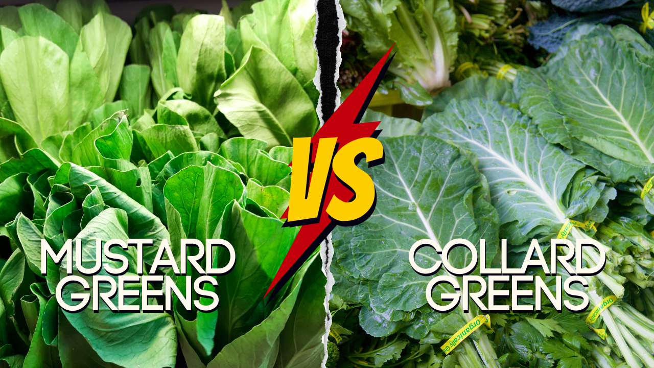 What's the Difference Between Mustard Greens and Collard Greens