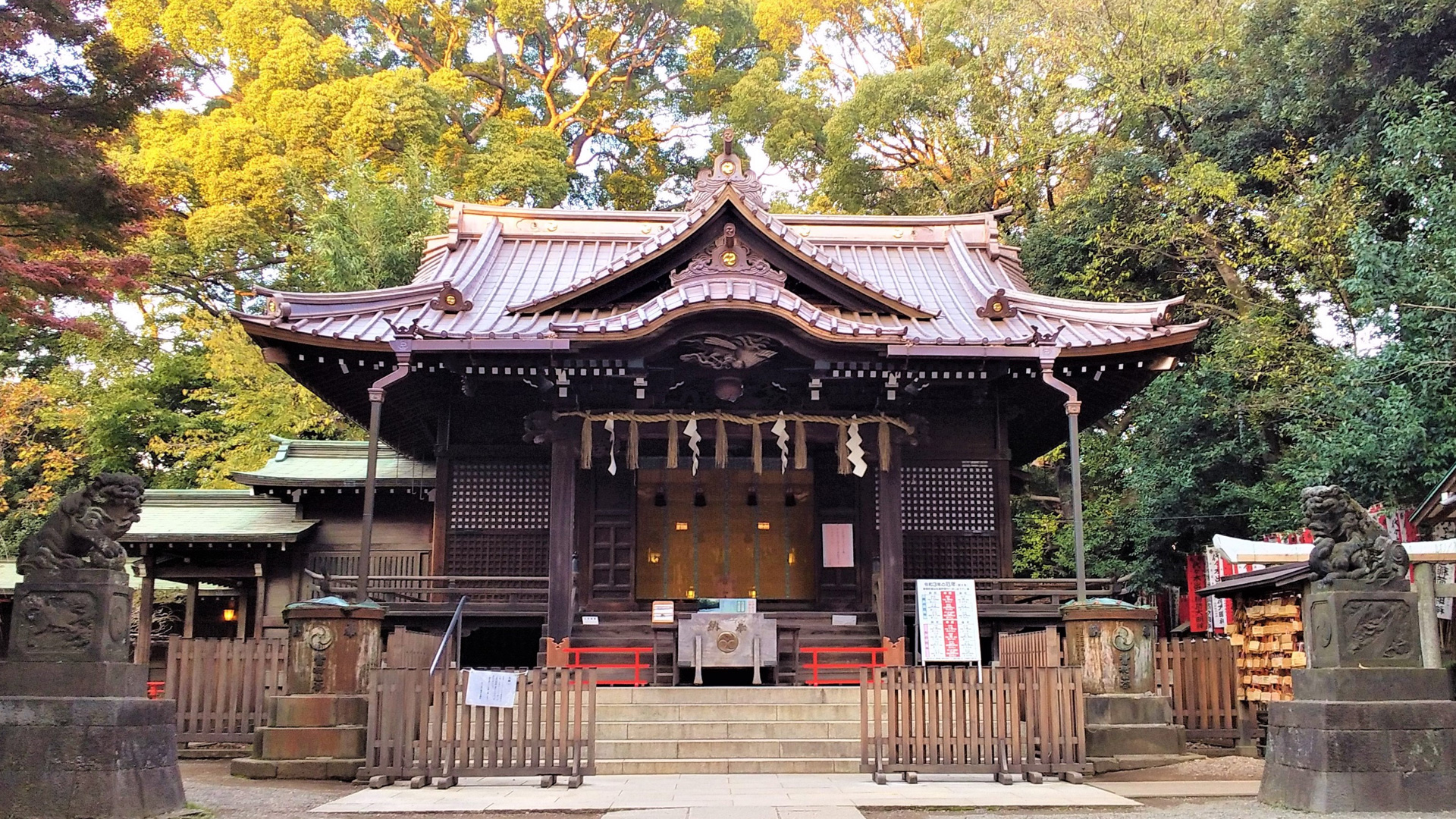代々木八幡宮・出世稲荷の真実｜芸能人が通う参拝順序と限定御朱印