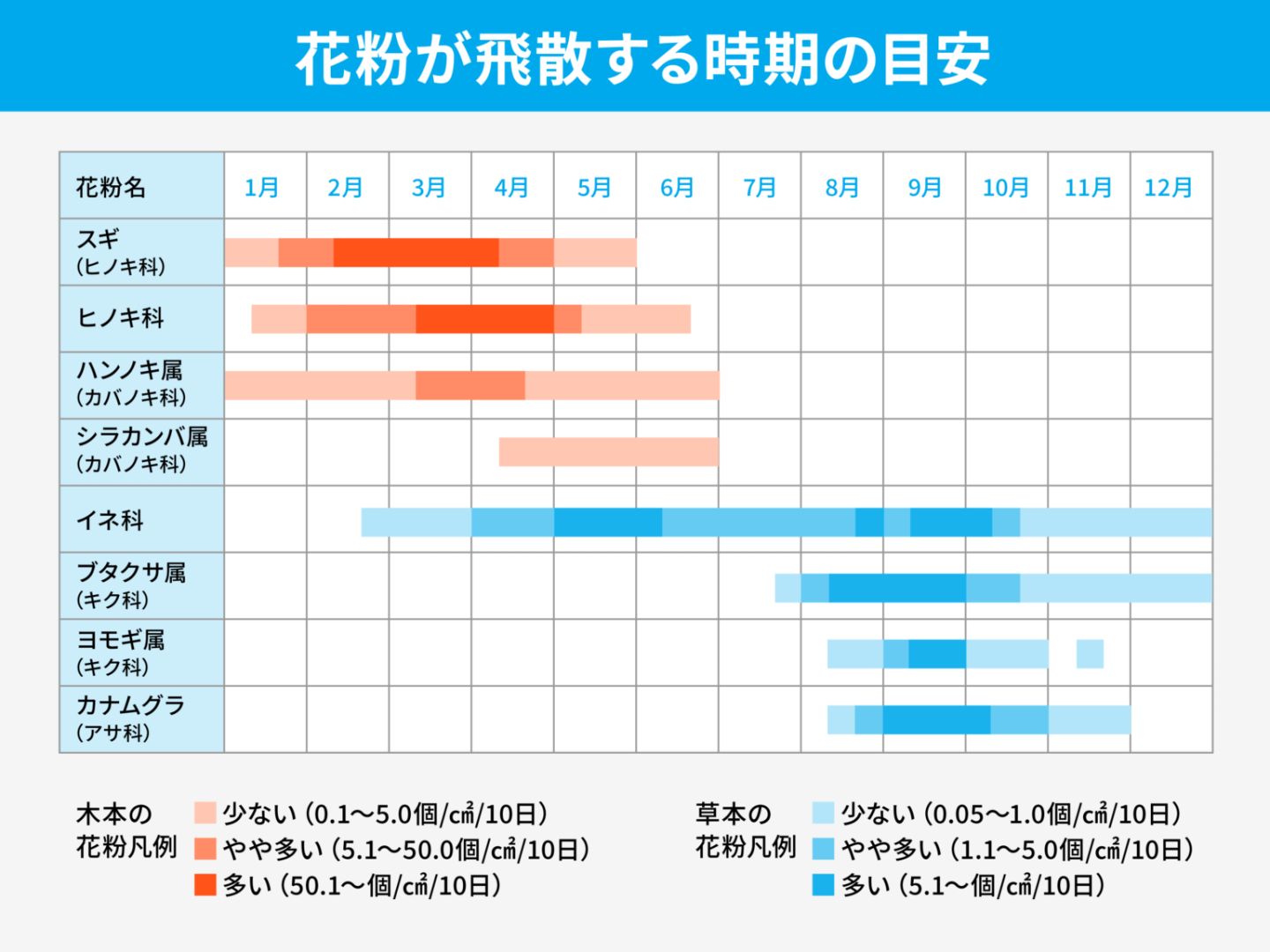 5月の花粉症なぜ治らない？イネ科・シラカバの罠と2026年対策