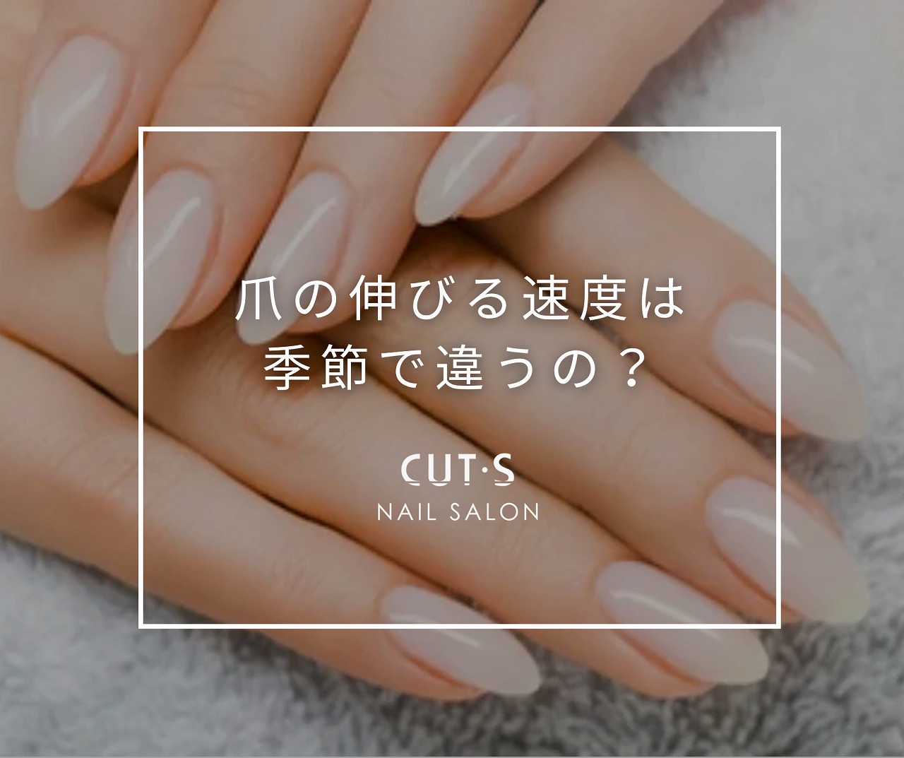 爪の伸びる速さは1日何ミリ？手足の差と急に早くなる理由を徹底解明
