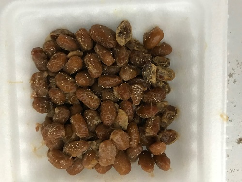 納豆の賞味期限切れ1ヶ月は食べられる？腐敗の見分け方と危険サイン