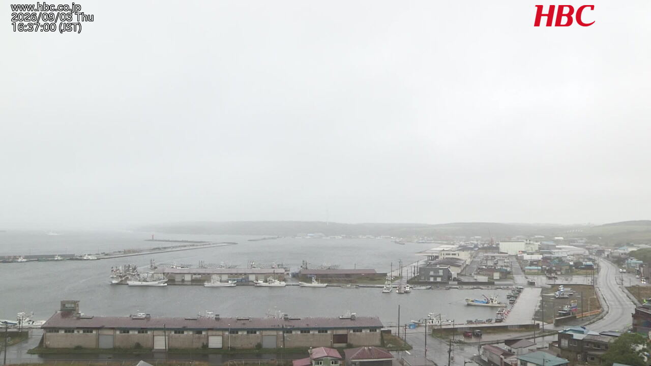 花咲港ライブカメラの現在映像！海の波浪・天気とサンマ水揚げ速報