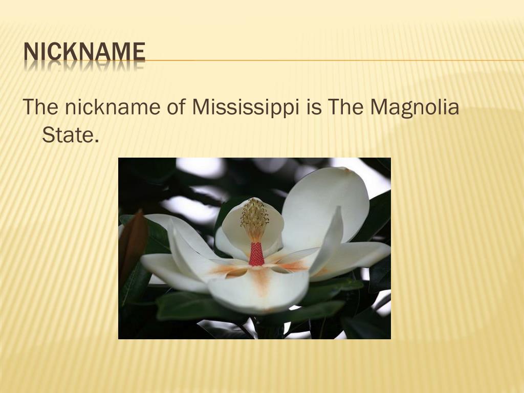 What Is the State Nickname of Mississippi