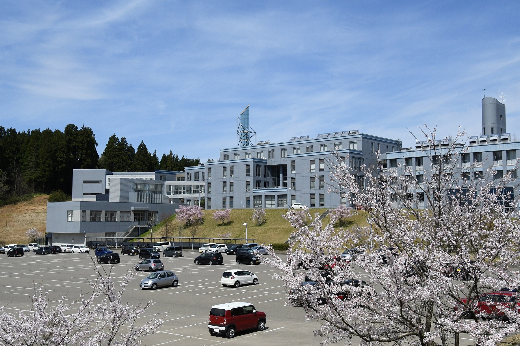 新潟工科大学はFランでやばい？2026年最新の就職実績と評判を検証