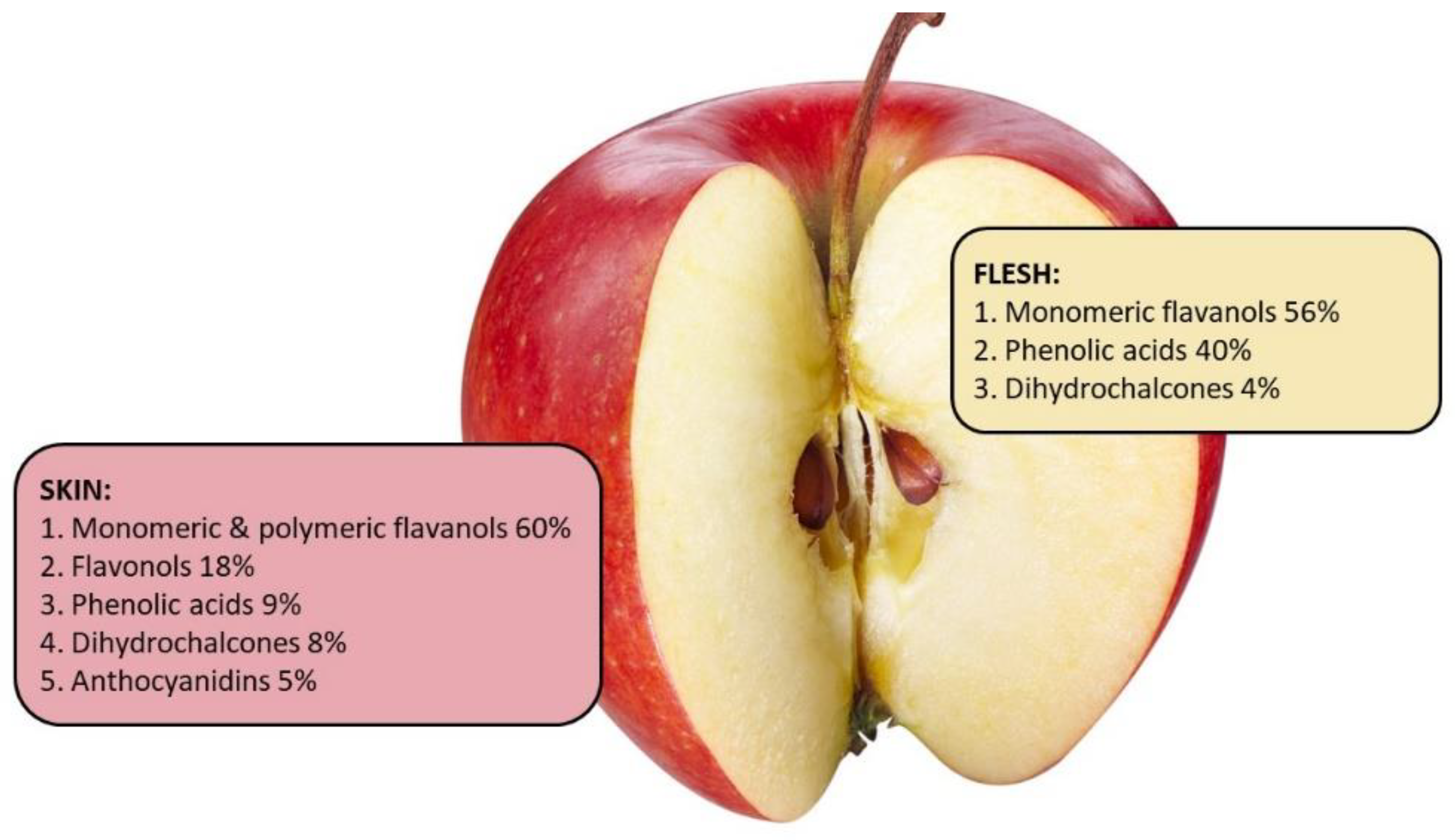 Do Apples Have Homeostasis