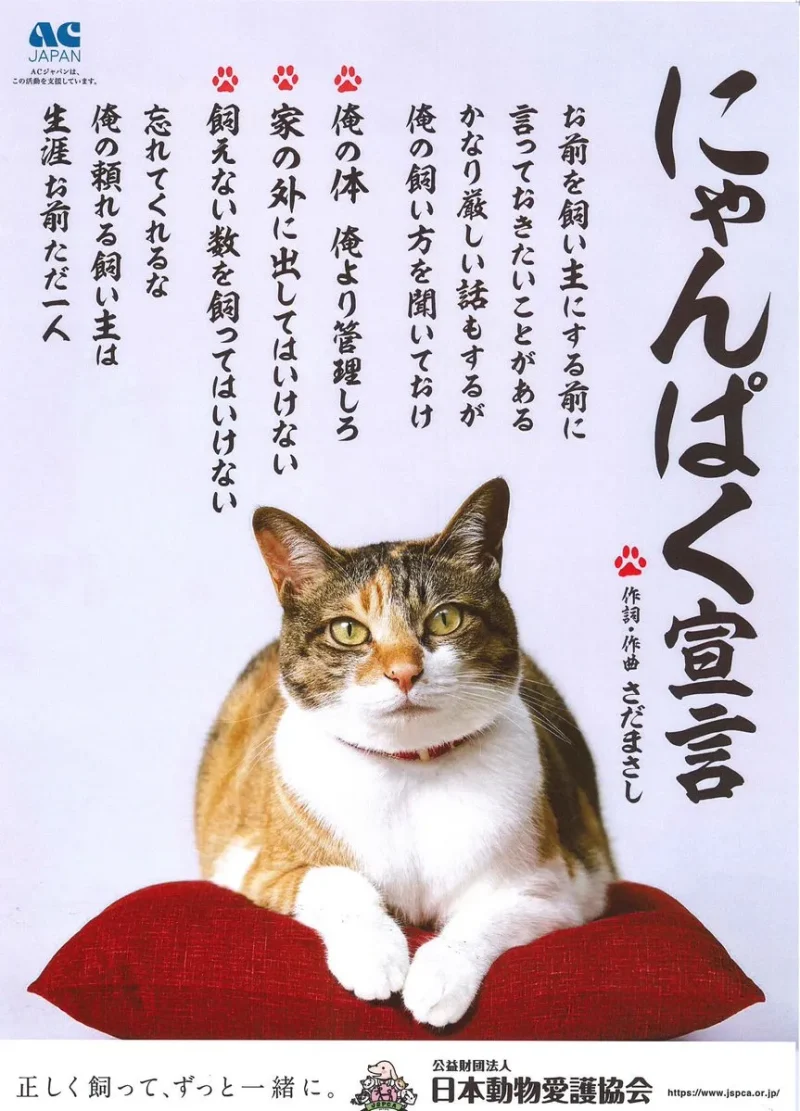 さだまさし「関白宣言」歌詞に隠された真意とバッシングの真相