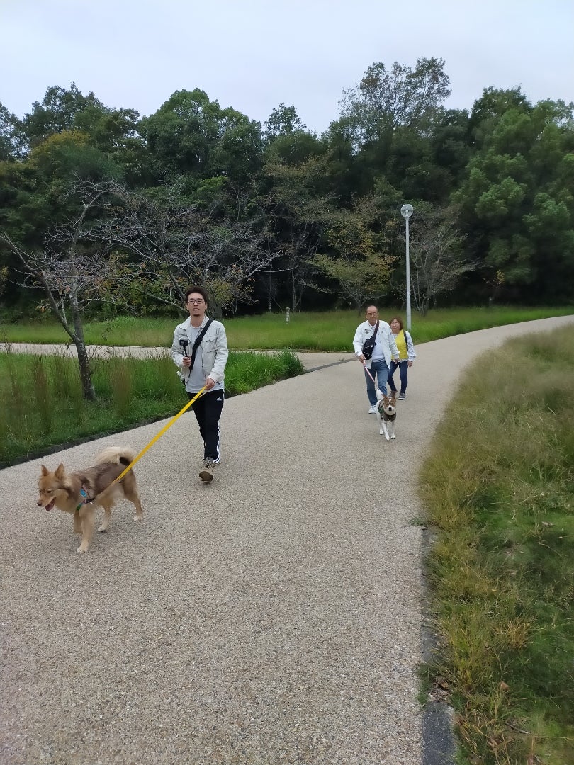 大阪の犬散歩おすすめ公園＆ルート決定版！名所から穴場まで徹底比較
