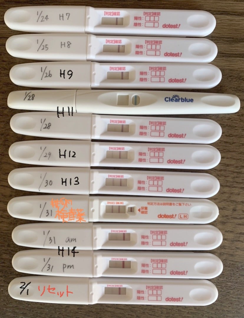 流産後の妊娠検査薬で陽性が続く理由とは？Hcg陰性化の期間と受診目安