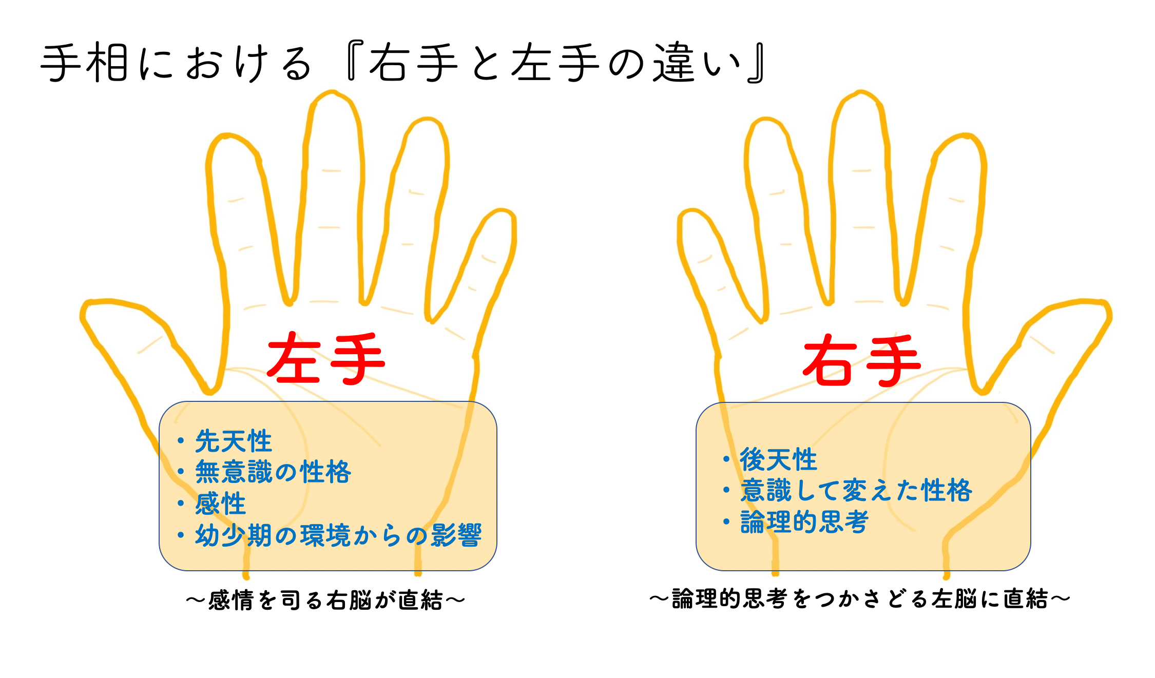 手相占いはどっちの手？右手と左手の違いと2026年最新の見方