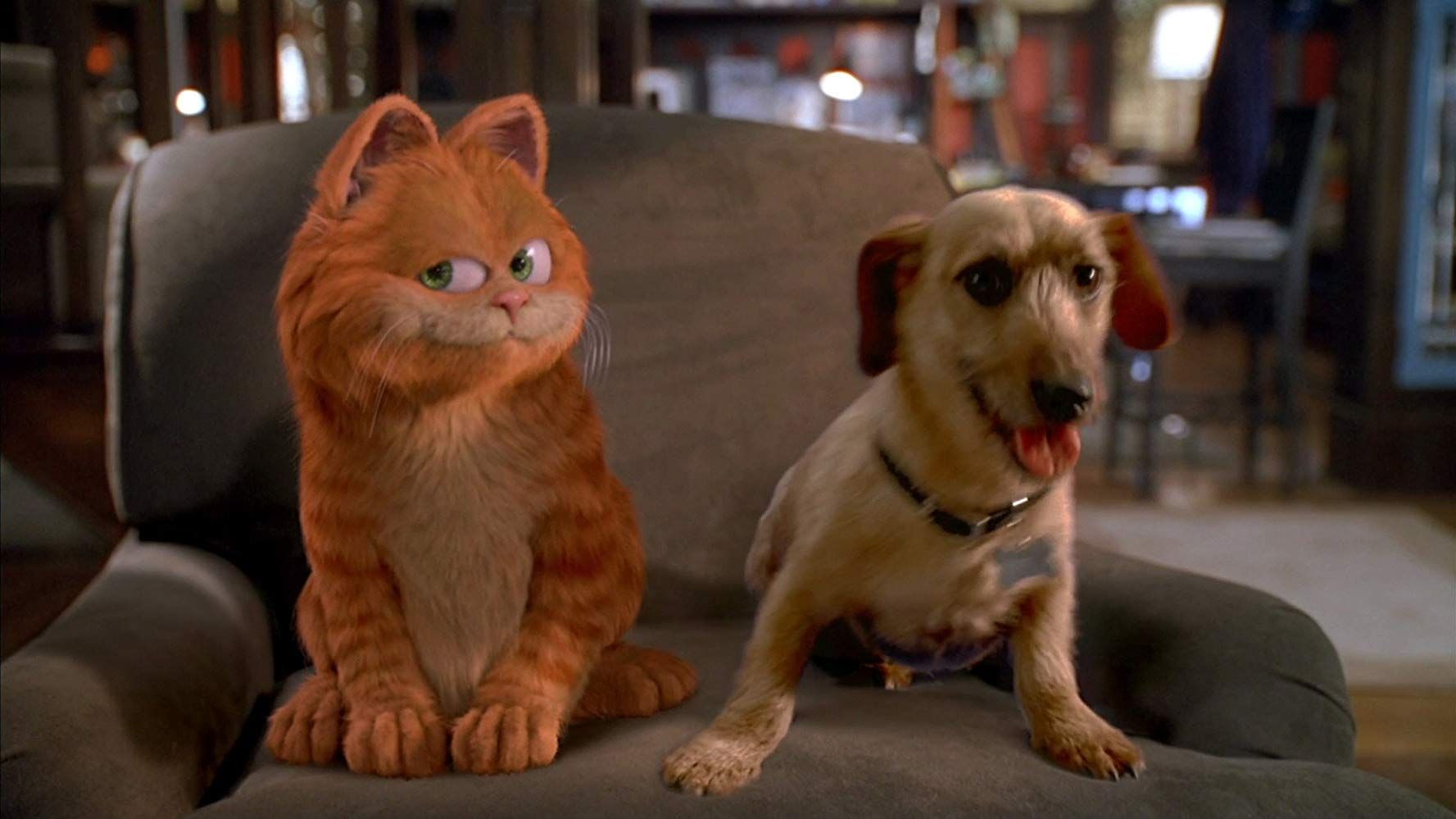 What Breed Is Odie