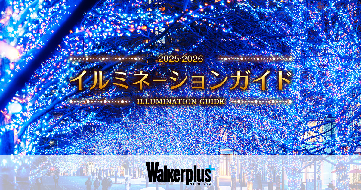 2026年の聖夜はどう過ごす？「あの場所」のイルミネーションから最新ギフトトレンドまで徹底ガイド