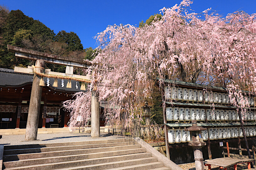 赤穂浪士が眠る大石神社の謎！大願成就のご利益と限定御朱印巡り
