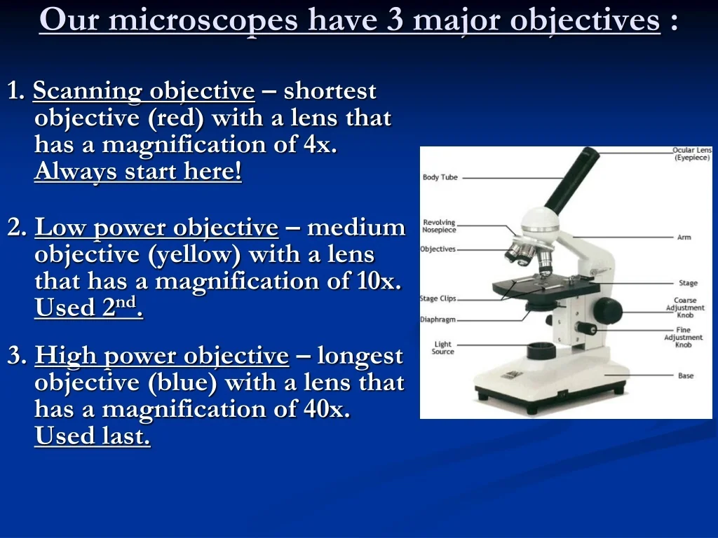 Our Microscopes Have Three Objectives What Are Their Powers