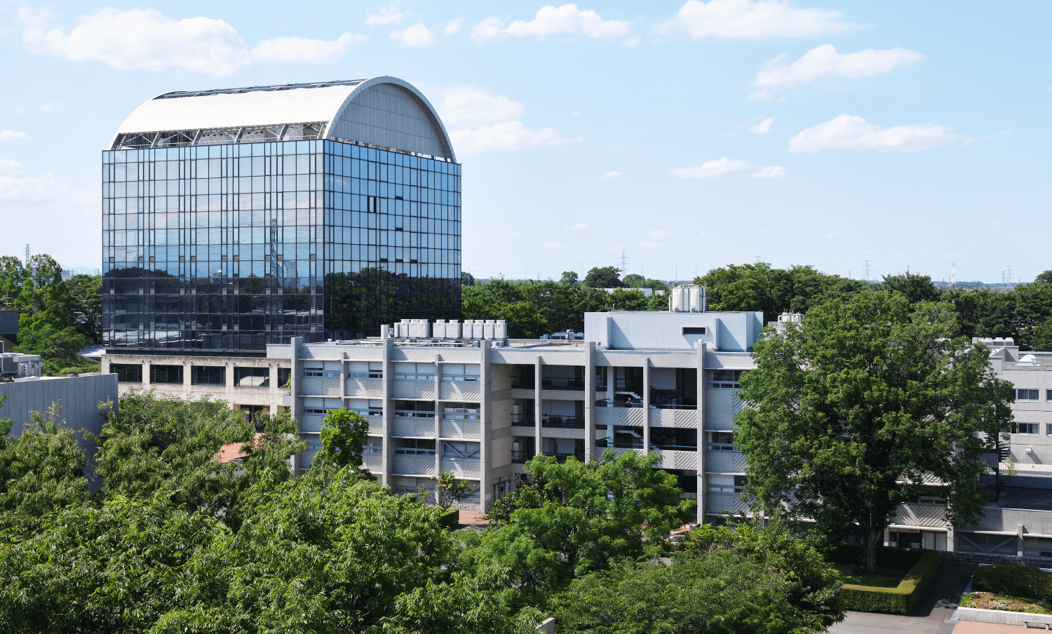 【2026年最前線】Ai全盛期に「武蔵野美術大学」が突きつける表現者の覚悟と、変貌するキャンパスの現在地