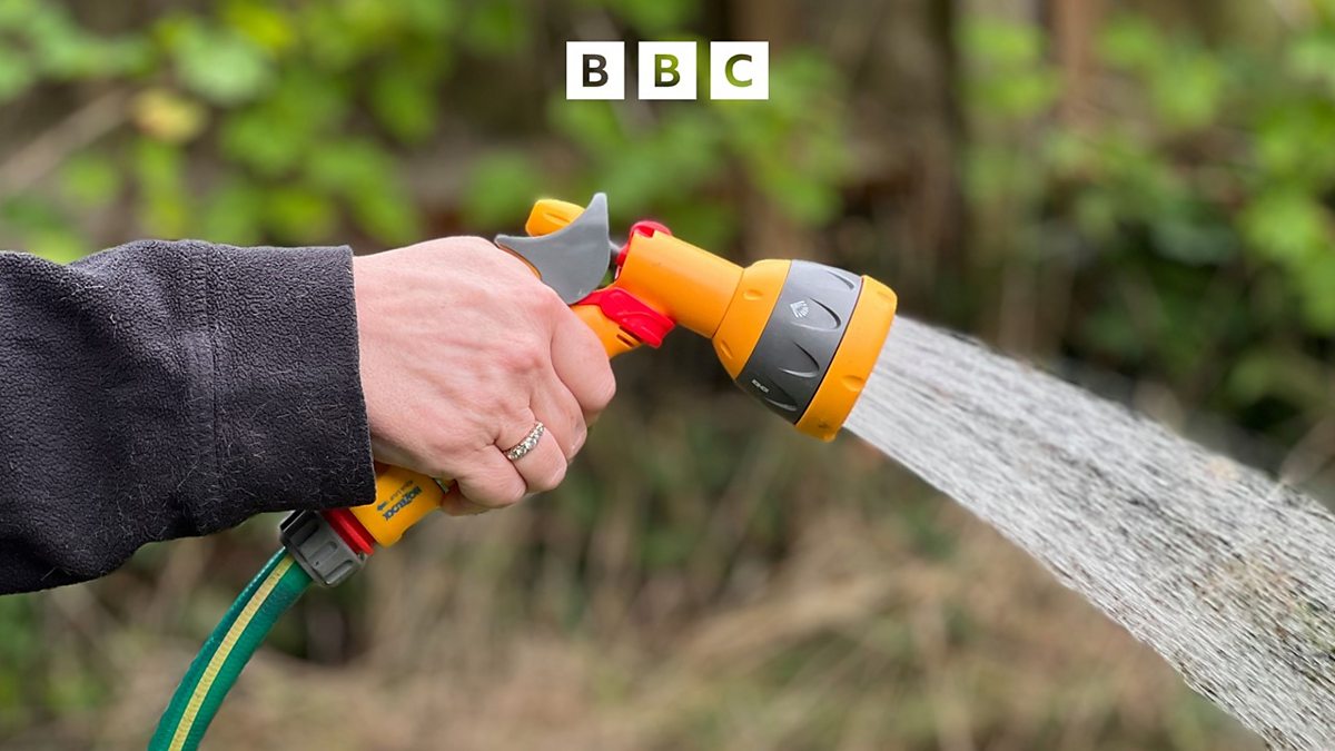 Can You Use a Watering Can During a Hosepipe Ban