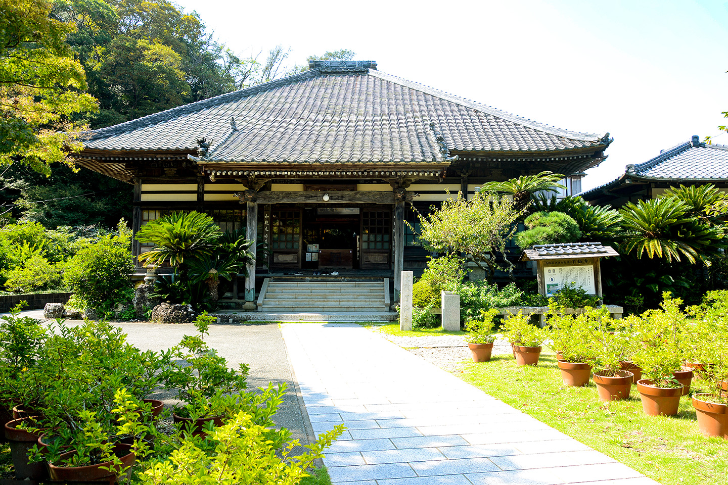 了仙寺の真相｜ジャスミン寺と秘宝館の謎を解く2026年現地案内