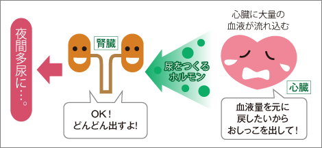 【必見】 心 因 性 頻 尿 子供 ブログ 人気理由と評判まとめ #946