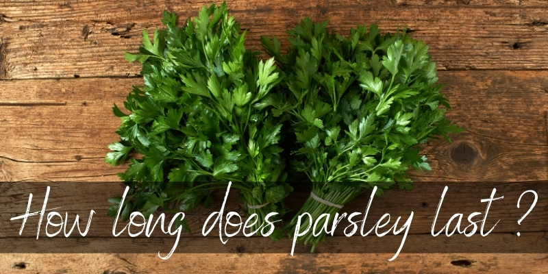 How Long Does Parsley Last