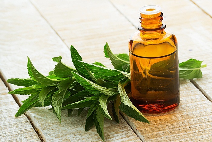 Peppermint Oil for Fever