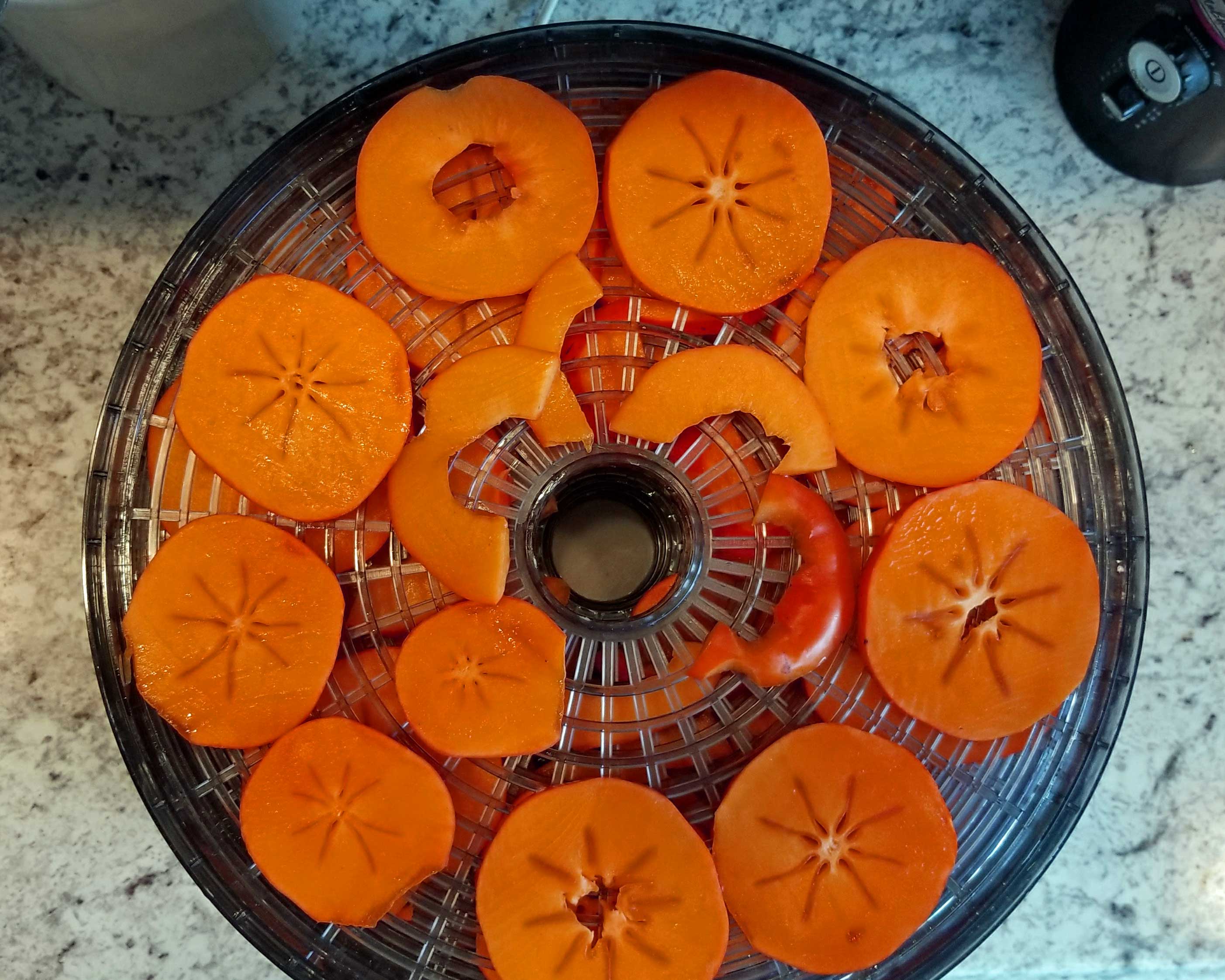 Do Dried Persimmons Need to Be Refrigerated