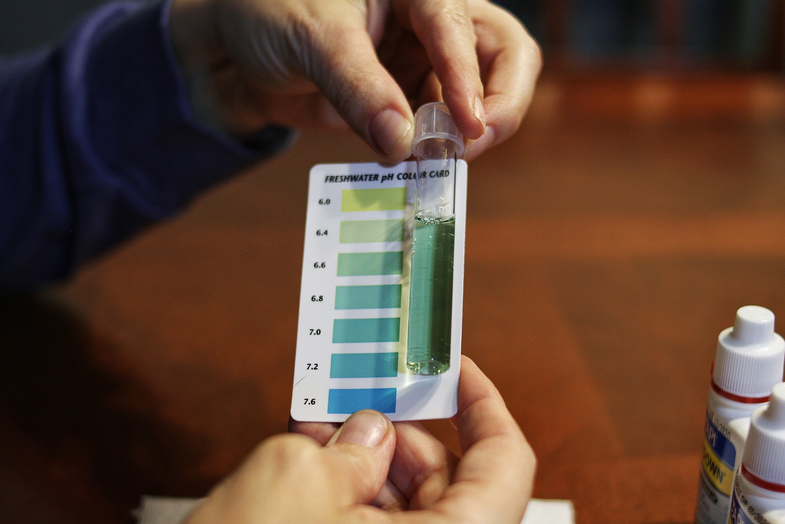 How to Test Water Ph