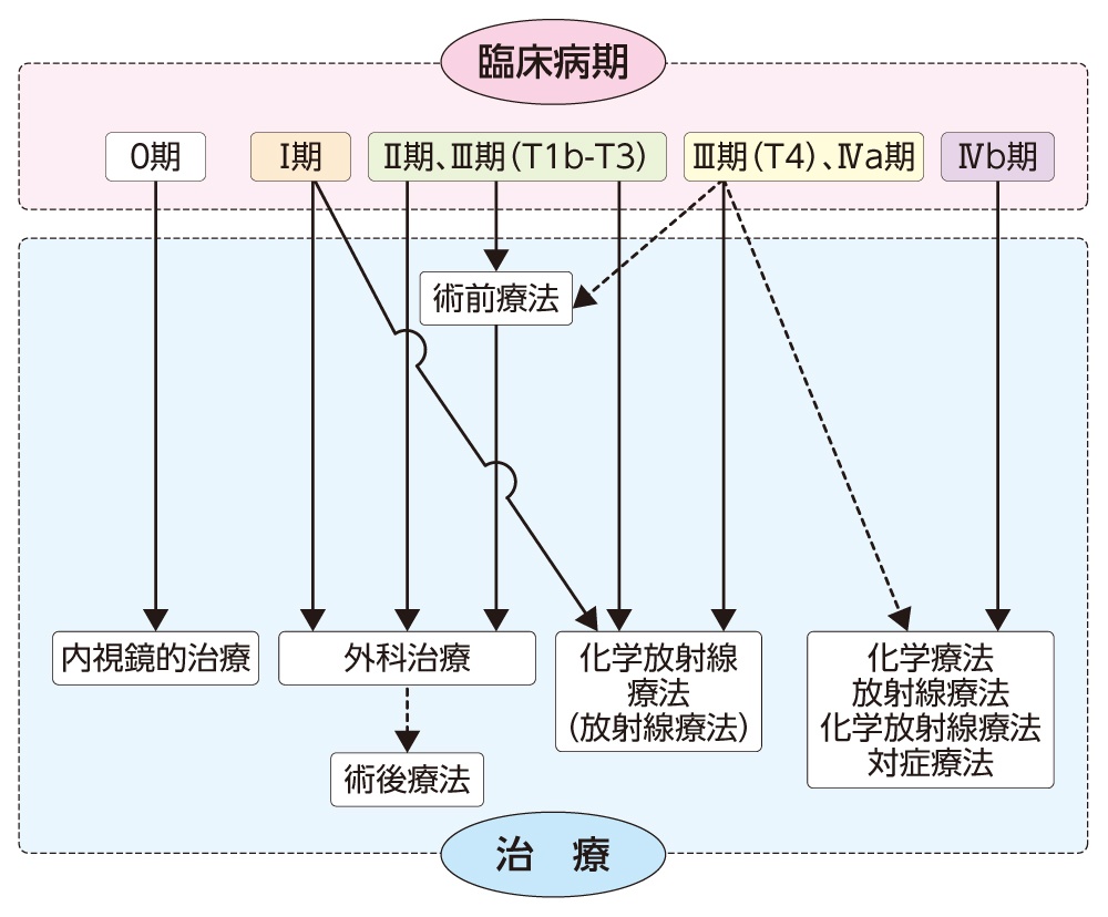 桑田佳祐の食道がんステージとは？奇跡の早期発見と復帰、現在の健康状態