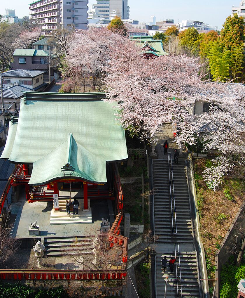 市谷亀岡八幡宮がペットの聖地と呼ばれる理由！ご利益と御朱印を徹底解説