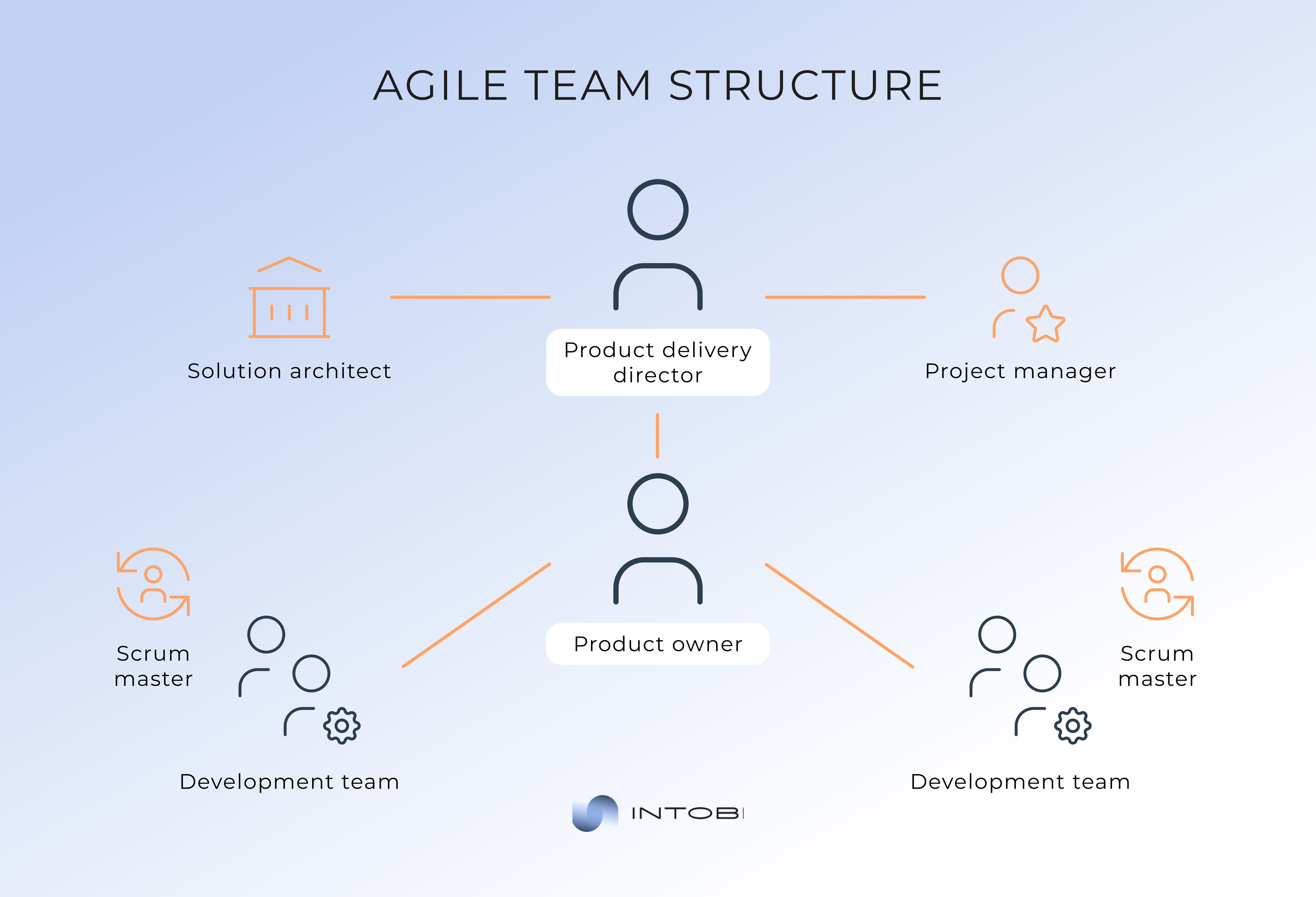 As a Project Team Member Delivering Software Solutions