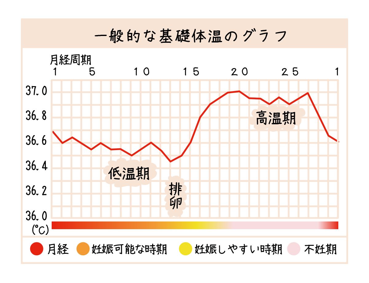 基礎体温はいつ測るのが正解？二度寝や夜の誤差を防ぐ計測ルール