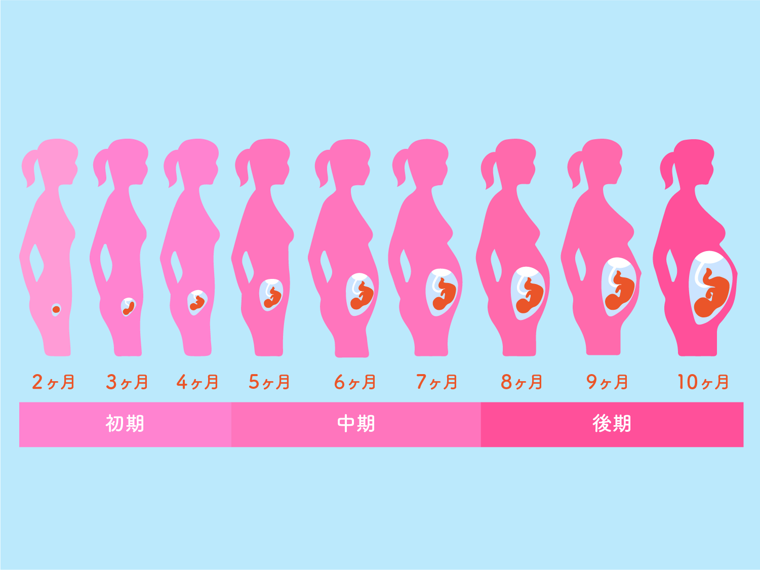 妊娠中のうねり髪にどう向き合う？「妊娠 中 縮 毛 矯正」の安全性と2026年最新のオルタナティブ