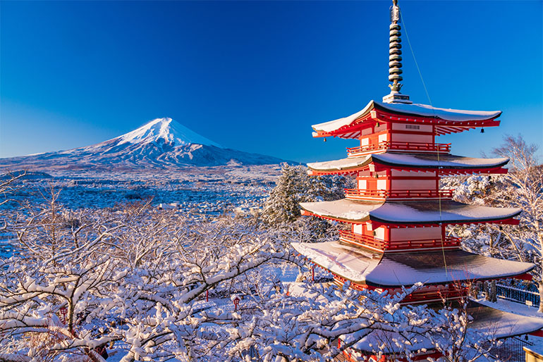 日本とアメリカの違いを徹底解剖！文化・働き方・医療の真相2026