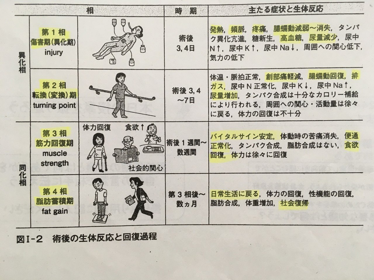 ムーアの分類を徹底解説！Garden分類との違いと臨床の真相