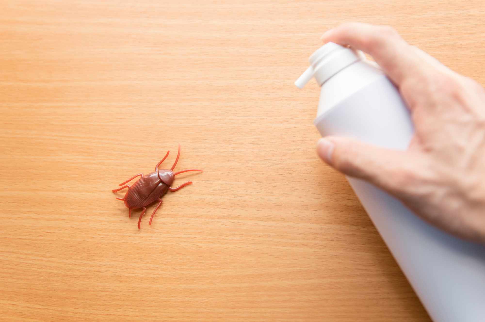 パーツクリーナーでゴキブリ即死の真相｜気門窒息と室内噴射の罠
