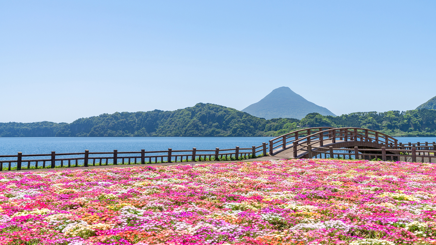 鹿児島観光の穴場決定版！地元民が推す絶景秘境と名湯【2026最新】
